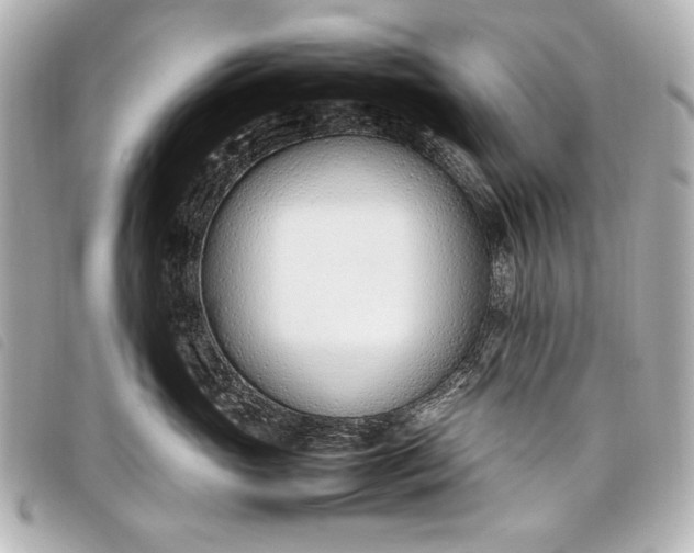 X0000098100765200804181424
