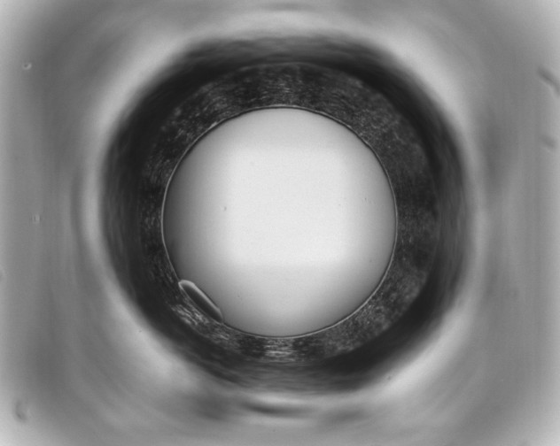 X0000098100766200804181424