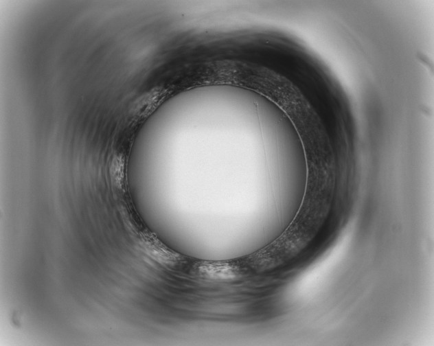 X0000098100767200804181424