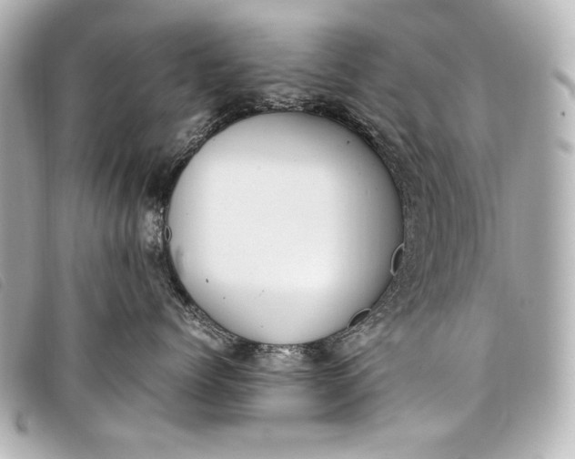 X0000098100768200804181424