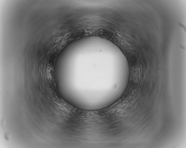 X0000098100770200804181424