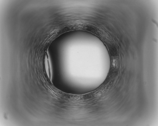 X0000098100771200804181424