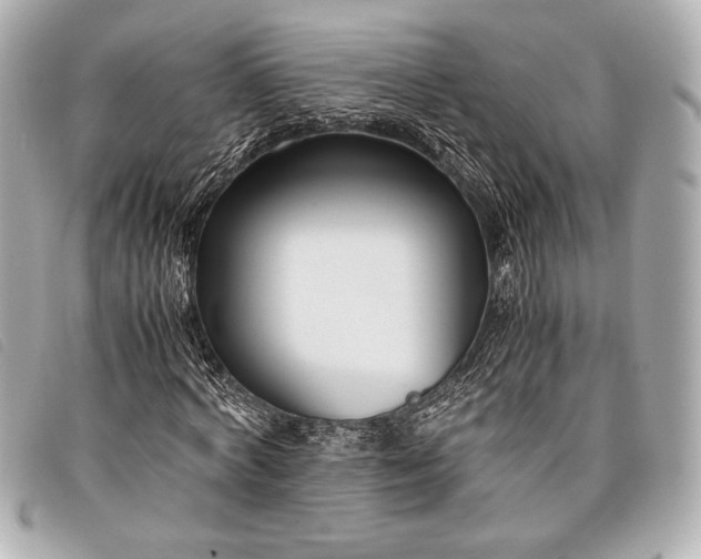 X0000098100772200804181424