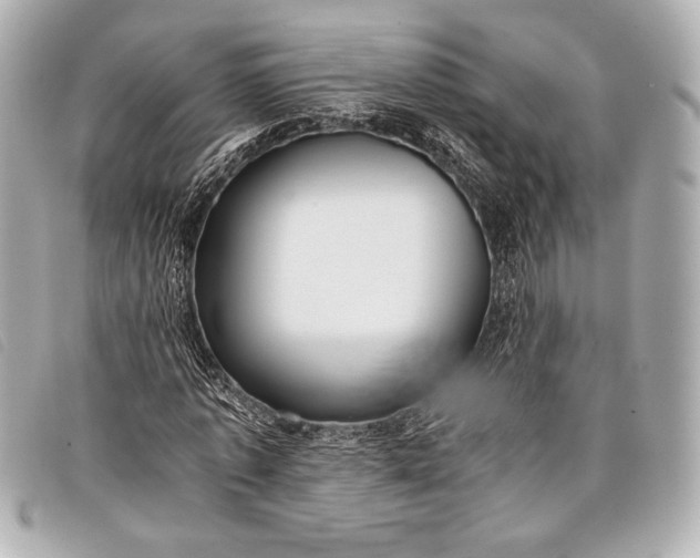 X0000098100773200804181424