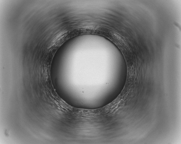X0000098100774200804181424