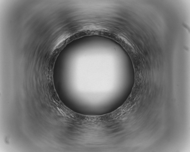 X0000098100775200804181424