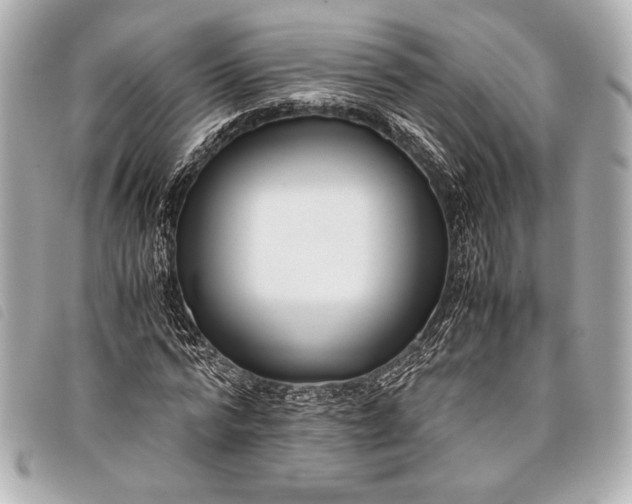 X0000098100776200804181424