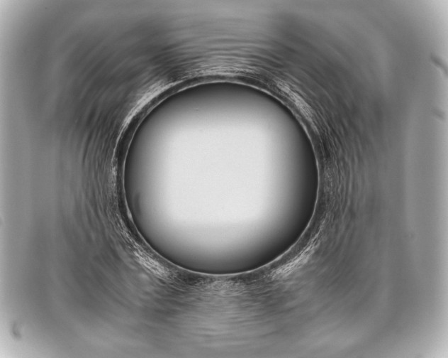 X0000098100779200804181423