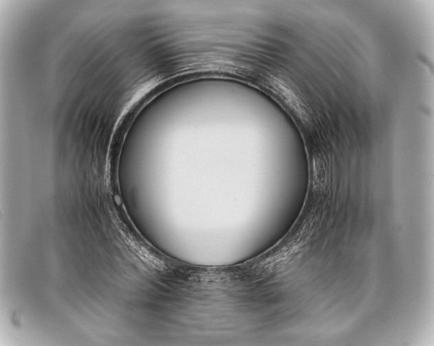 X0000098100780200804181423