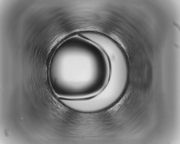 X0000098100781200804181423