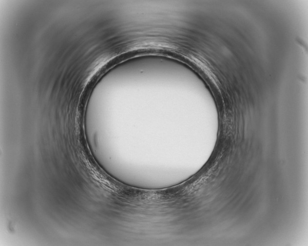 X0000098100783200804181423