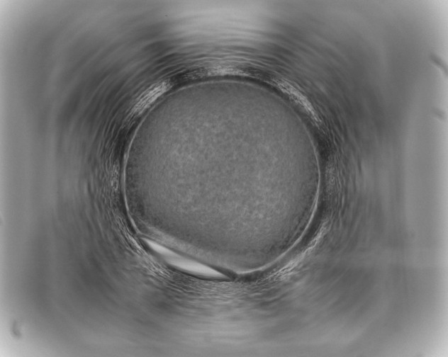 X0000098100785200804181423
