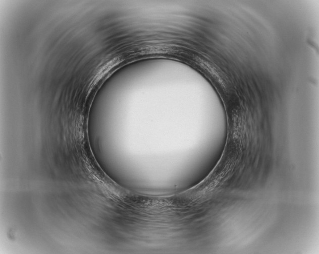 X0000098100786200804181423