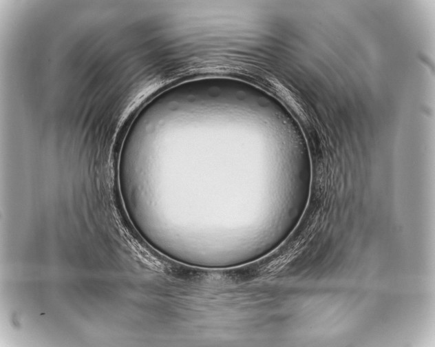 X0000098100787200804181423
