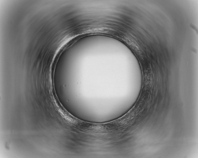 X0000098100792200804181423