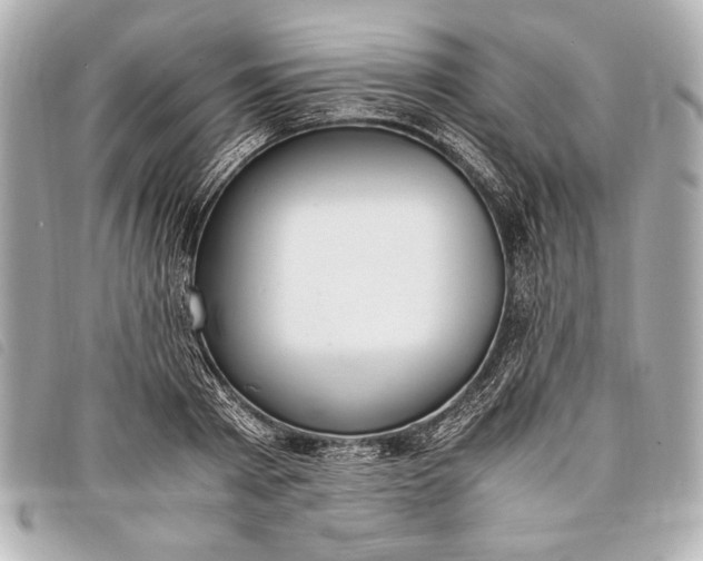 X0000098100793200804181423