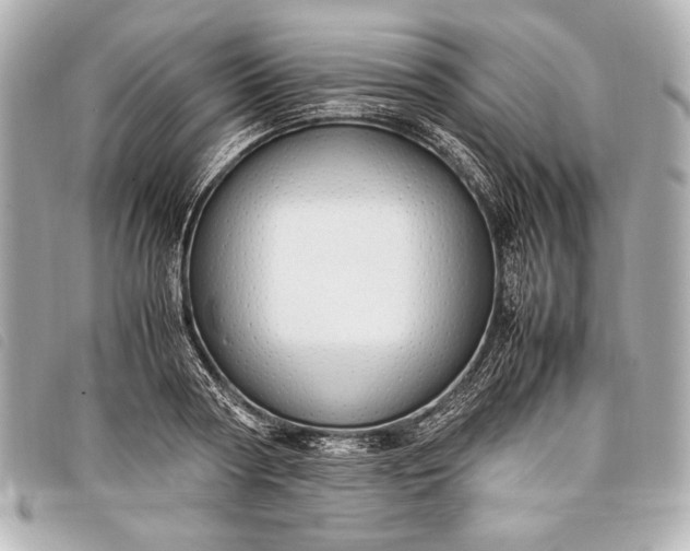 X0000098100794200804181423