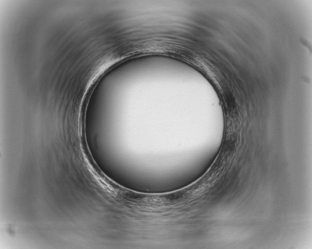 X0000098100795200804181423