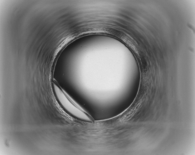 X0000098100797200804181423