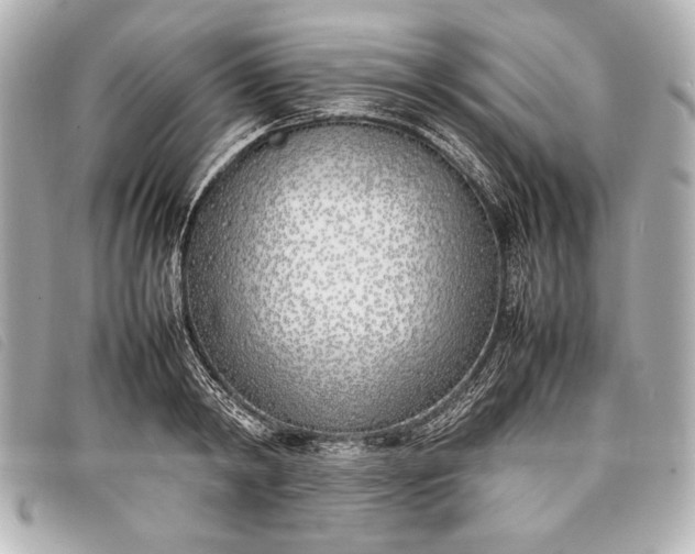 X0000098100798200804181423