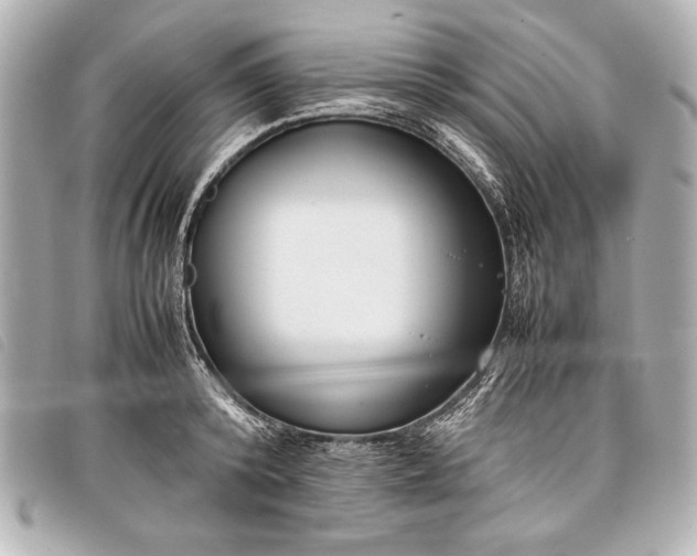 X0000098100800200804181423