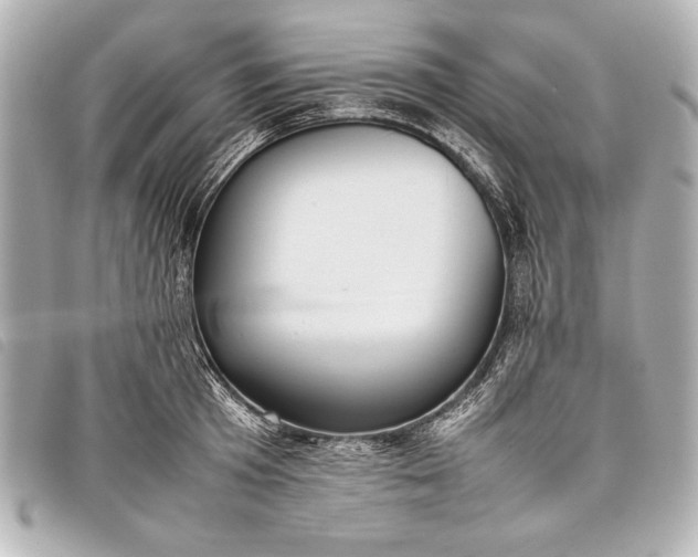 X0000098100801200804181423