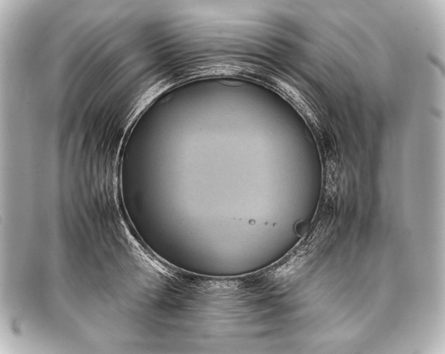 X0000098100802200804181423
