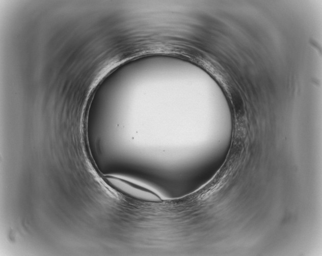 X0000098100803200804181423