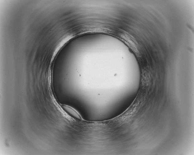X0000098100804200804181423