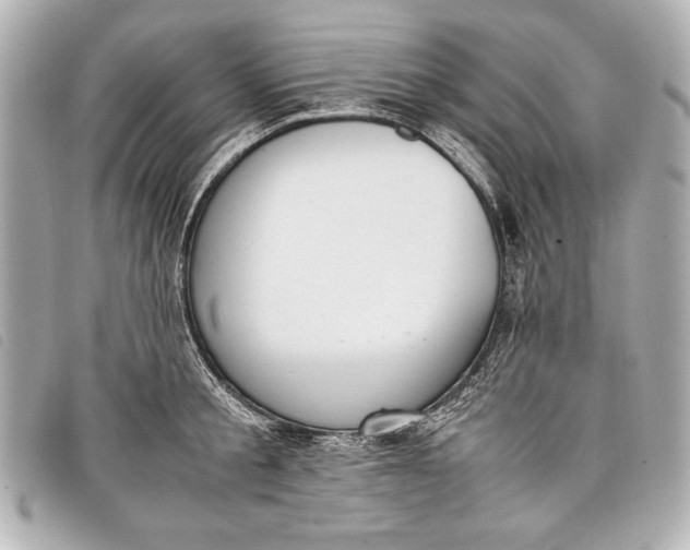 X0000098100805200804181423