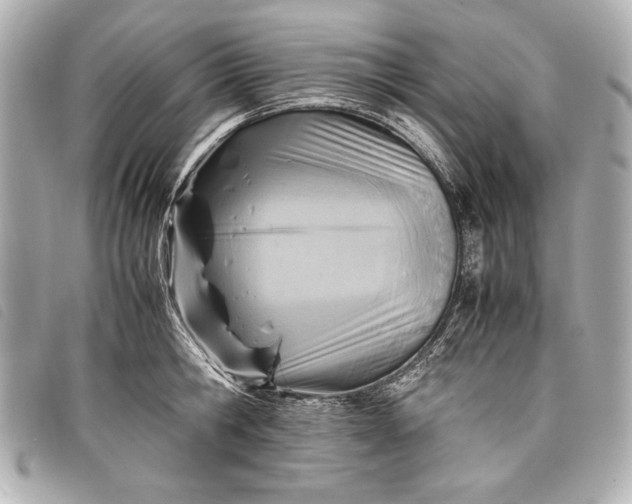 X0000098100806200804181423