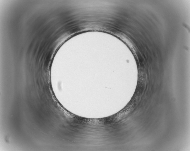 X0000098100807200804181423