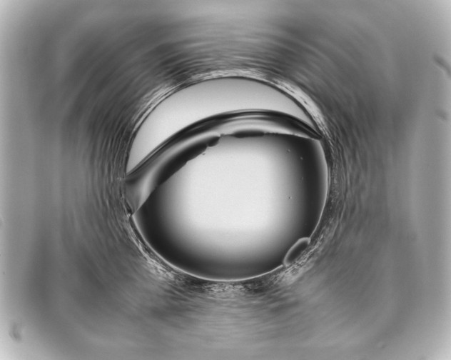 X0000098100809200804181423