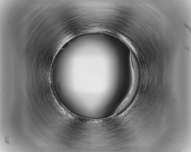 X0000098100810200804181423