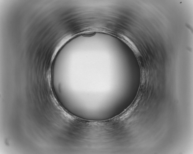 X0000098100812200804181423