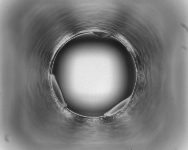 X0000098100813200804181423