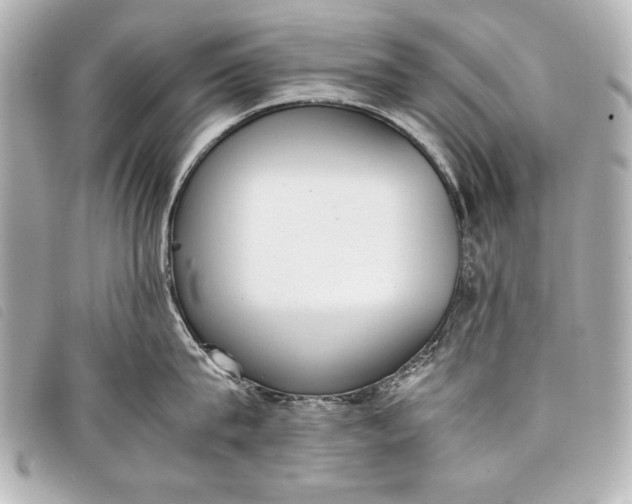 X0000098100815200804181423