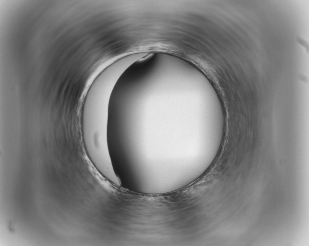 X0000098100816200804181423