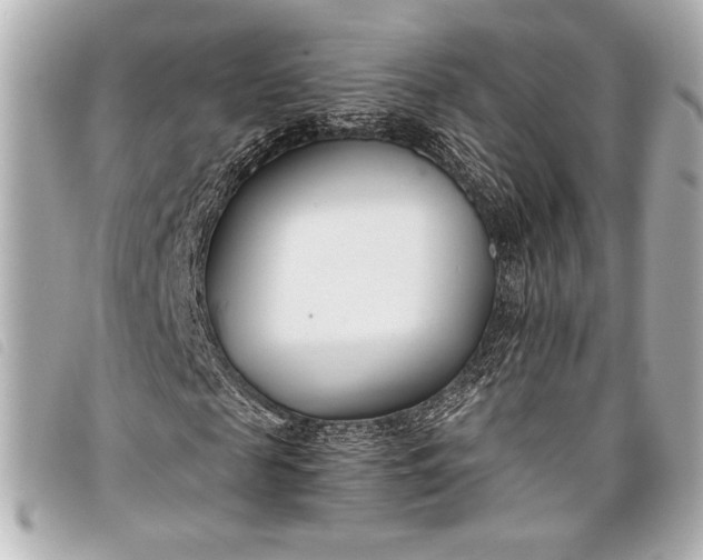 X0000098100817200804181422