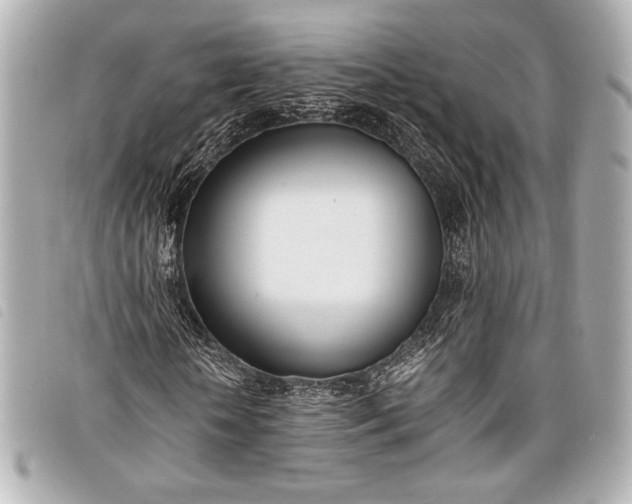 X0000098100818200804181422