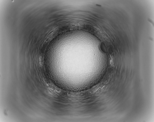 X0000098100819200804181422