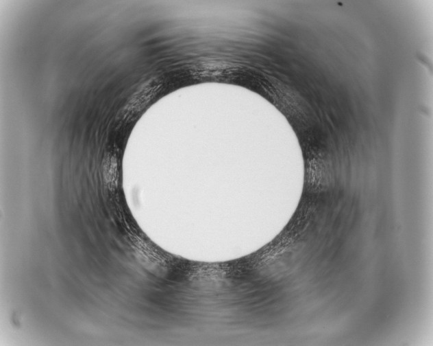 X0000098100820200804181422
