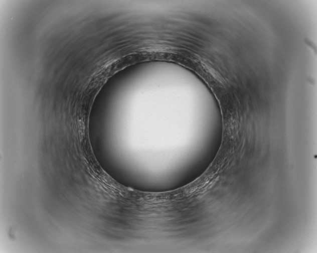 X0000098100821200804181422