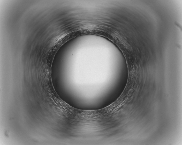 X0000098100822200804181422