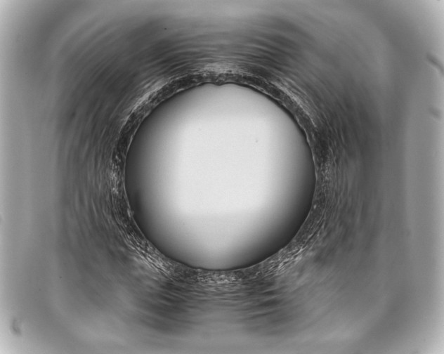 X0000098100823200804181422