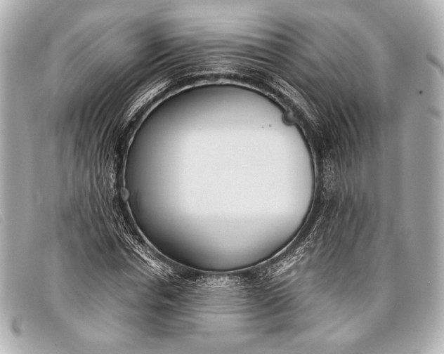 X0000098100826200804181422