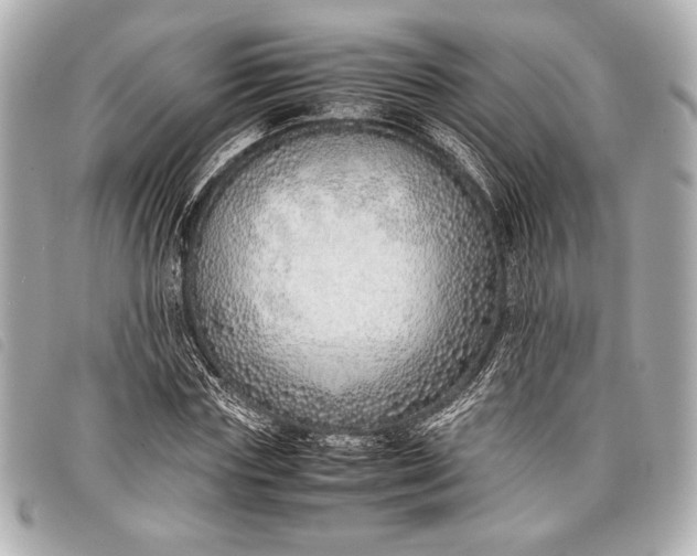 X0000098100827200804181422