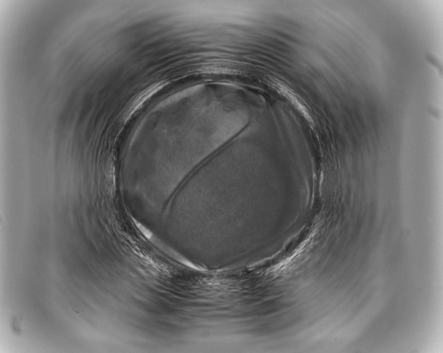 X0000098100829200804181422