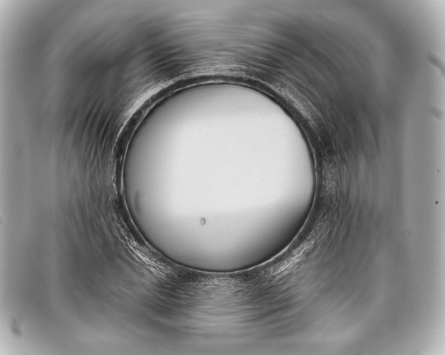 X0000098100830200804181422