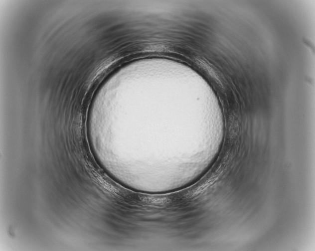 X0000098100831200804181422